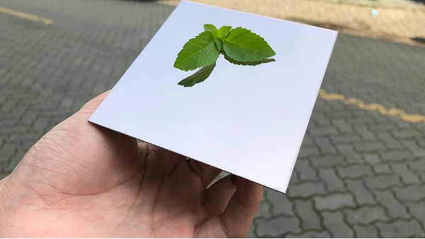 為什么彩色不銹鋼裝飾板會大受歡迎？