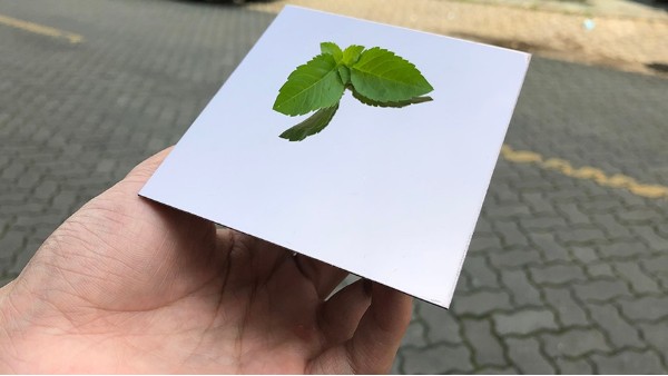 不銹鋼鏡面如有劃痕怎么處理？